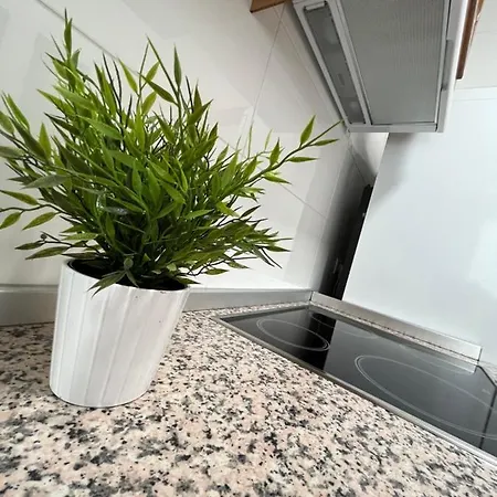 Zoronga * Las Navas del Marqués