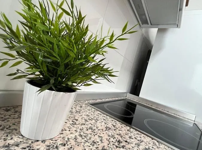 Zoronga * 라스 나바스 델 마르케스